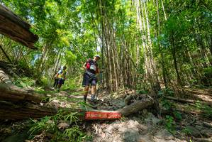 BIB: 
                            <button type="button" onclick="openModal(19394379)" class="btn btn-primary btn-sm float-right btn-popup" data-toggle="modal" data-target=".modal-high-quality">
                        <i class="fas fa-shopping-cart"></i> Add to Cart
                    </button>
                                            <button type="button" onclick="isThisMe(19394379, true)" class="btn btn-success btn-sm float-right btn-popup btn-isme hidden" data-toggle="tooltip" data-placement="bottom" title="นี่คือรูปของคุณใช่ไหม คลิกที่นี่เพื่อเอาเข้าอัลบั้ม">
                        <i class="fas fa-plus"></i> Add to album
                    </button>
                    <button type="button" onclick="isThisMe(19394379, false)" class="btn btn-warning btn-sm float-right btn-popup btn-isnotme hidden">
                        <i class="fas fa-ban"></i> Remove from album
                    </button>